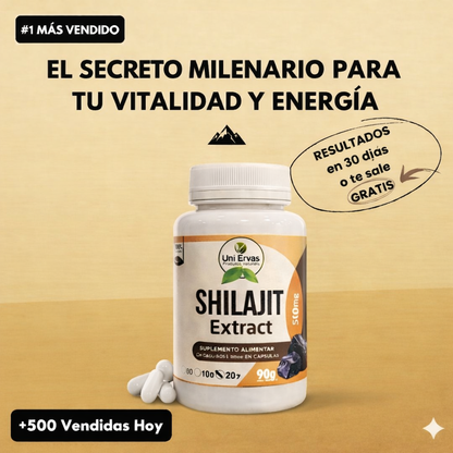 Cápsulas de Shilajit – ¡Más energía, mejor ánimo y rendimiento!