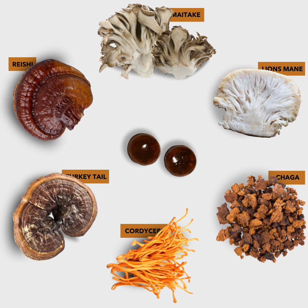 GOMITAS DIARIAS HAIR GROWTH